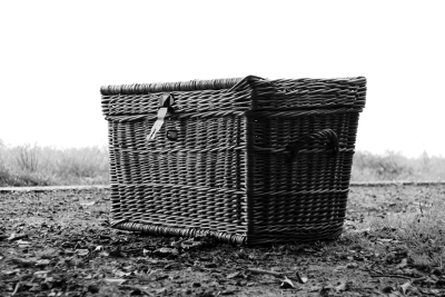 Panier d'osier 1, par Xavier E. G. Dierick